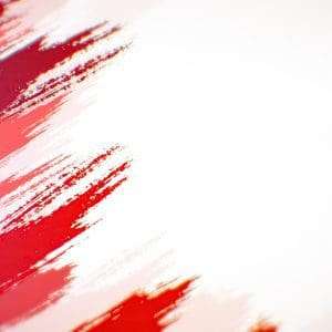 Canadian flag paint brush